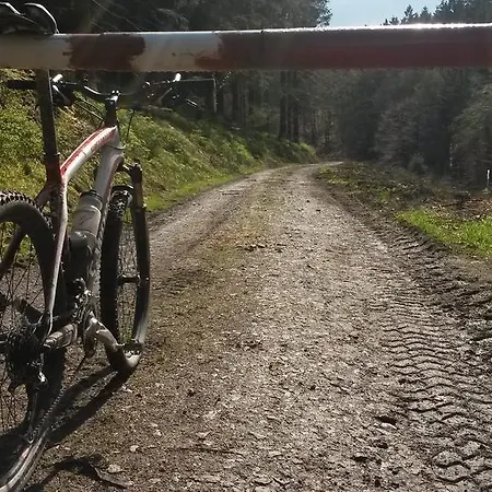 On Schopp Hébergement de vacances *