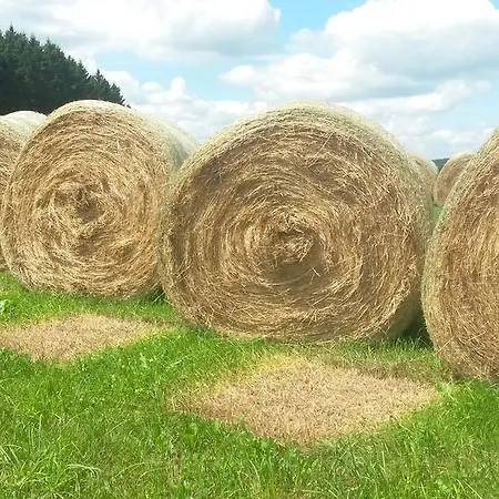 Hébergement de vacances On Schopp